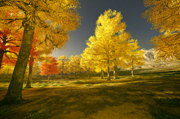 Herbst-Traum / ***