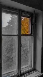Herbst-Traum / ***