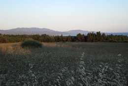  / Metamorfosi at sunset