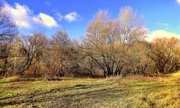 Herbst-Traum / ***