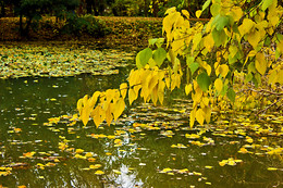 Herbst-Traum / ***