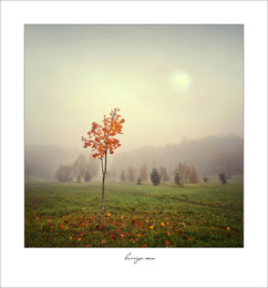 Herbst-Traum / ***