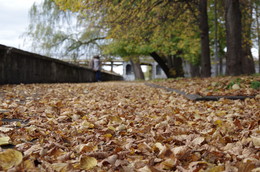 Herbst-Traum / ***