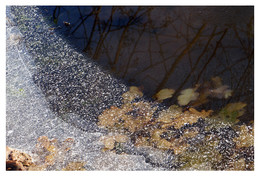 Herbst-Traum / .
.