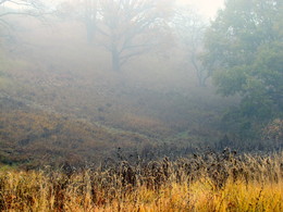 Herbst-Traum / ***
