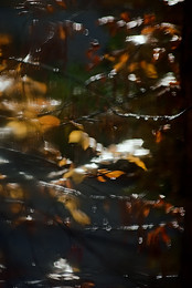Herbst-Traum / ***