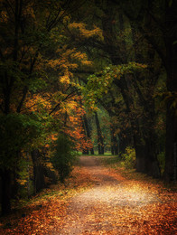 Herbst-Traum / ***