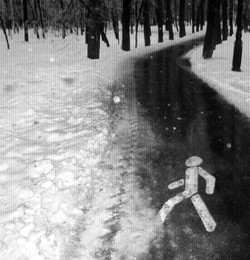  / ***