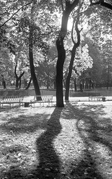 im Park / ***