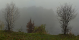 Nebel / ***
