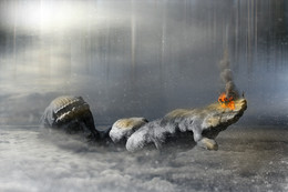 Conquest of the Titans ... / ***