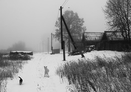 Elster / ***
