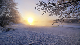 Frozen lake / ***