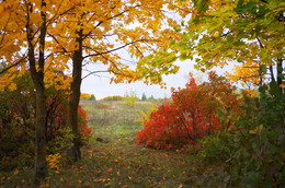 Herbstfarben / ***