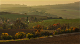 Nebliger Morgen / ***
