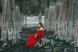 Xenia / ***
