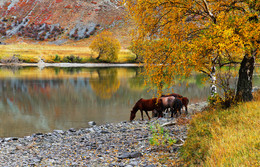 An einer Wasserstelle / ***