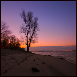 tranquillity / ***