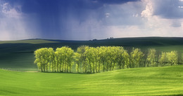 Regen im Mai / ***
