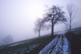 Unter der Nebelgrenze / ---