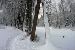 Winter / ***
