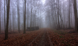 da hinter Nebeln / ***