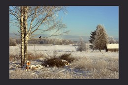 Winter-Skizzen / ***
