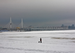 at Bay / ***
