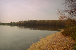 Blattfall / ***