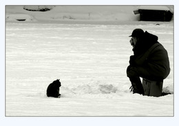 Mensch und Katze / ***