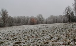 Nach dem Nebel / ***