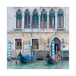 Venezia / ---
