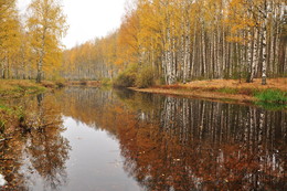 Stiller Herbst. / ***