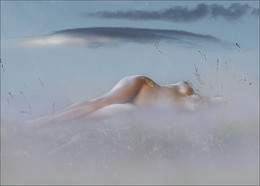 Die Fusion ... / ***