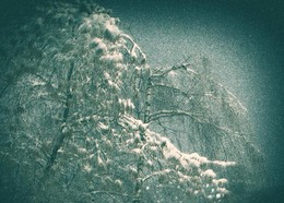 Schneesturm / ***