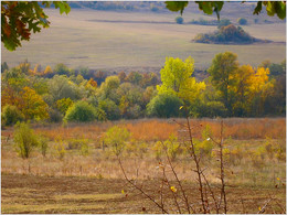 Sonnigen Herbsttag / ***