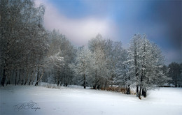 Sonnenuntergang im Winter / ***