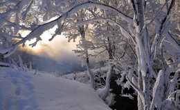 Winter-Etüde / ***