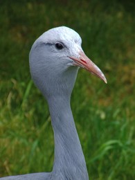 Blick / ***