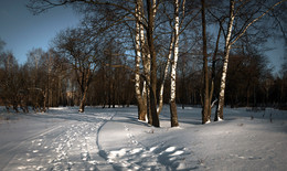 Winterlandschaft / ***