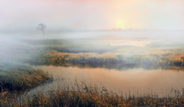 Herbstnebel ... / ***