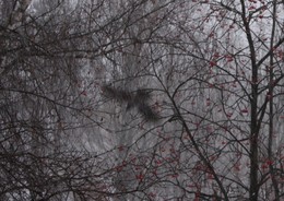 Schlagschatten / ***