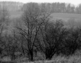 Im Nebel / ***