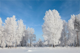 Winter 2012 / ***