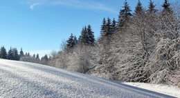 Auf der Piste / ***
