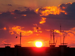 Sonnenuntergang / ***