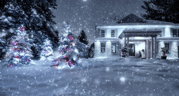 staged for Xmas / staged for Xmas
