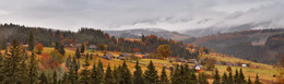 Bedeckt Herbst / ***