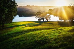 Sunny afternoon / ***