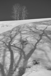 Schatten / ***